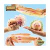 YoYa Toys Hedgehog Squisheez Juego de 4 bonitas bolas de