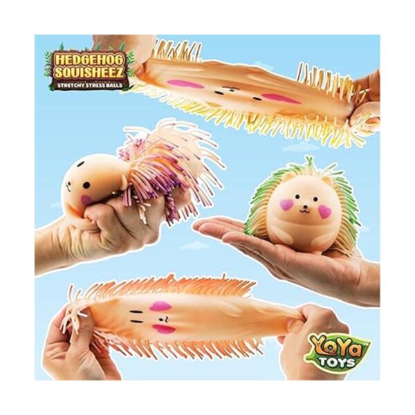 YoYa Toys Hedgehog Squisheez Juego de 4 bonitas bolas de