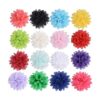 Chenkou Craft Mix Lotes 16 unidades de 4 pulgadas 3.9_1