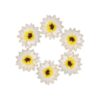 Mybbshower White Chrysanth Flowers DIY Margarita de papel_1