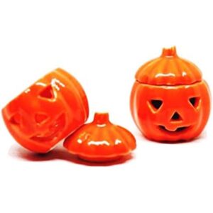 1shopforyou Juego de 2 miniaturas de cerámica para casa