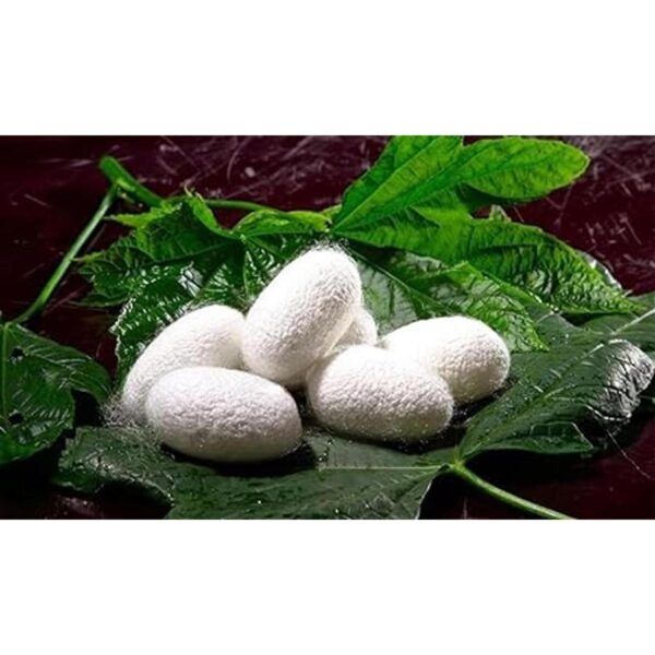 2500 Silk Art China Natural 100 seda de morera hecha a