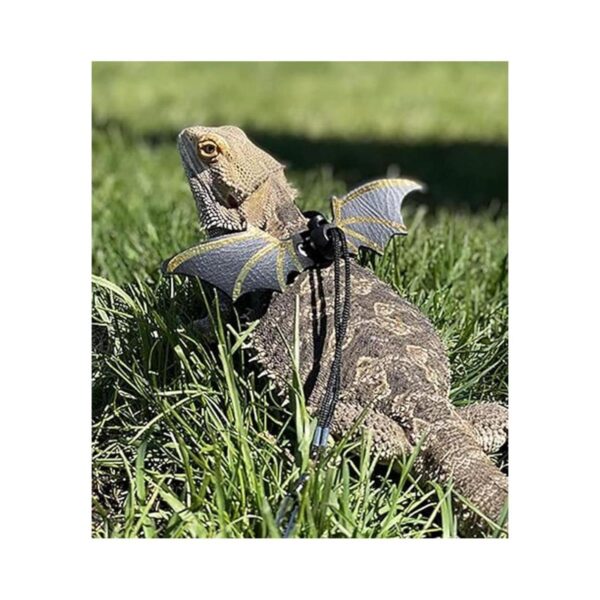 Adjustable Lizard Leash Bearded Dragon Harness Cool_2