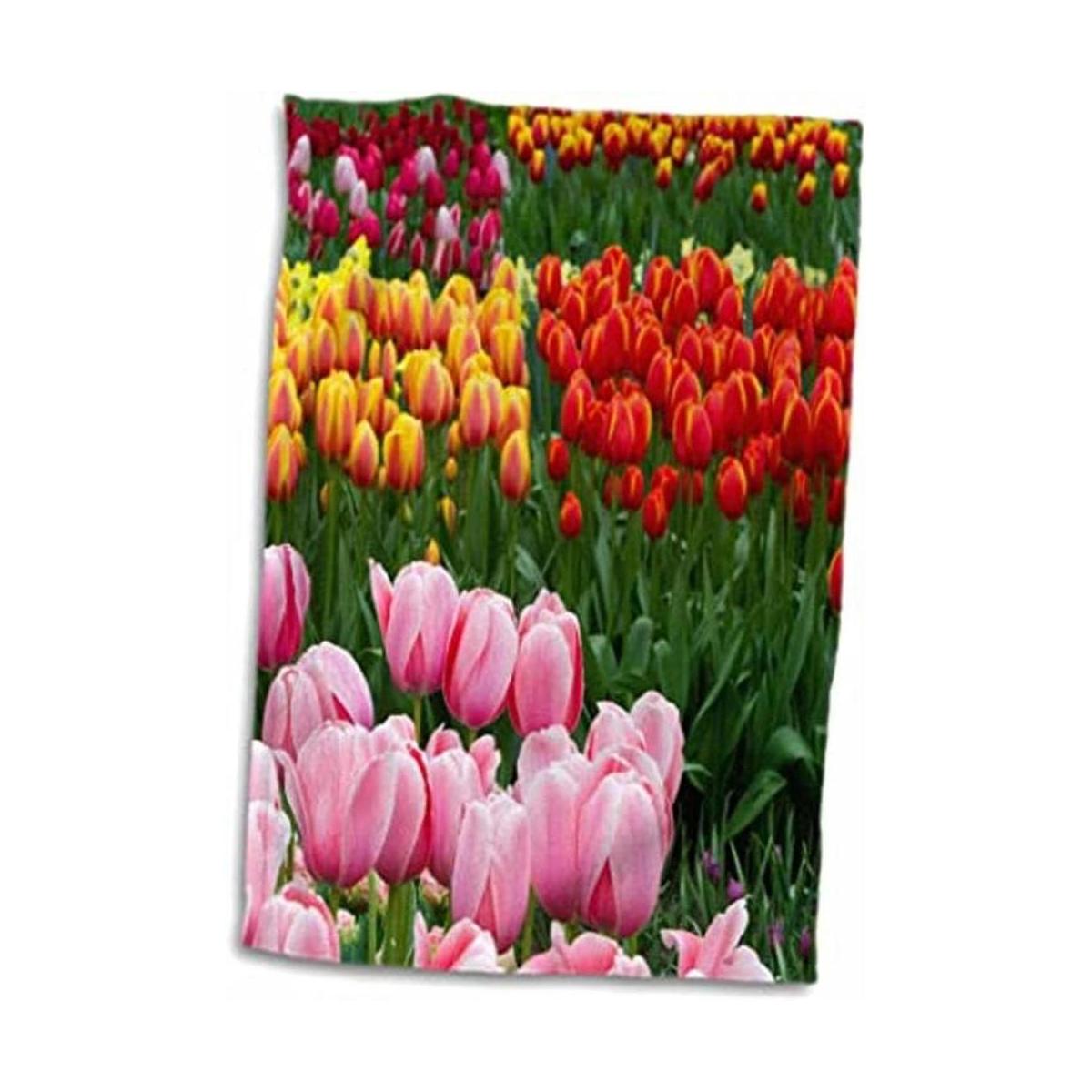 3dRose Danita Delimont Flor Tulipanes en Keukenhof