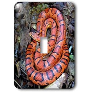 3dRose lsp14861 Corn Snake Interruptor de palanca_1