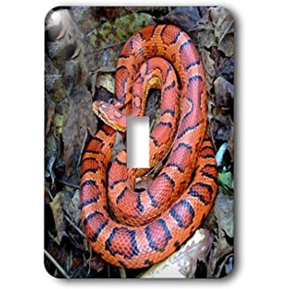 3dRose lsp14861 Corn Snake Interruptor de palanca