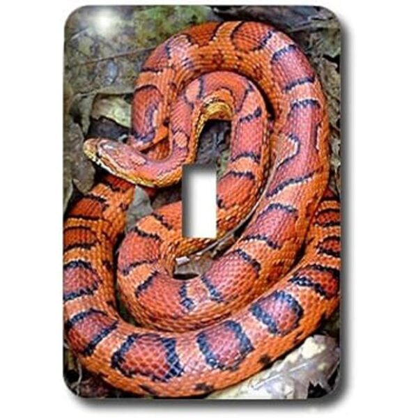 3dRose lsp14861 Corn Snake Interruptor de palanca_2