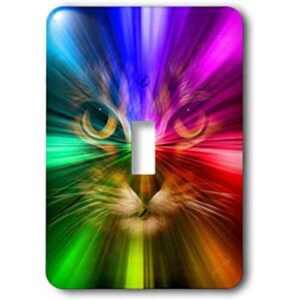 3dRose lsp184991 Gato doméstico rodeado con un arco iris_1