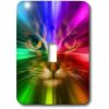 3dRose lsp184991 Gato doméstico rodeado con un arco iris_2