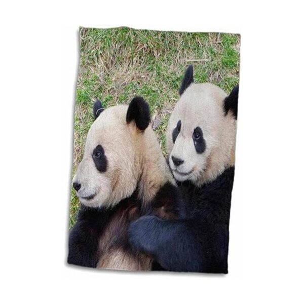 3D Rose ChinaWolong ReservaGiant Panda Bears AbrazarAs07_2