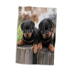 3dRose Perros Rottweiler Rottweiler Toalla_1