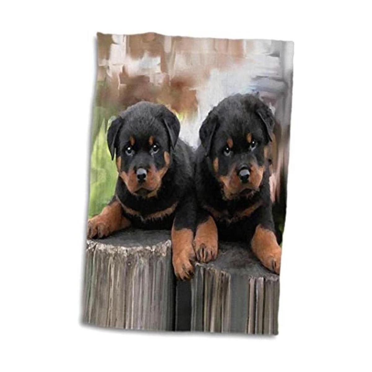 3dRose Perros Rottweiler Rottweiler Toalla