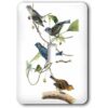 3D Rose lsp1790351 Pretty Blue Yellow Bird Interruptor_1