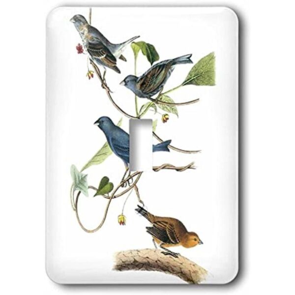 3D Rose lsp1790351 Pretty Blue Yellow Bird Interruptor_1