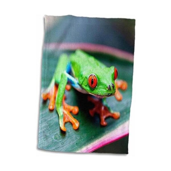 Toalla de mano con diseño de rana en hoja de Costa Rica_2