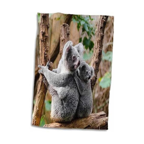 Toalla de mano 3D Rose Family Australia Koala Bear de 15.0_2