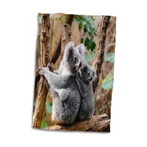 Toalla de mano 3D Rose Family Australia Koala Bear de 15.0_1