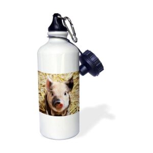 3dRose Sven Herkenrath Animal Lovely Farm Baby Pig 21_1