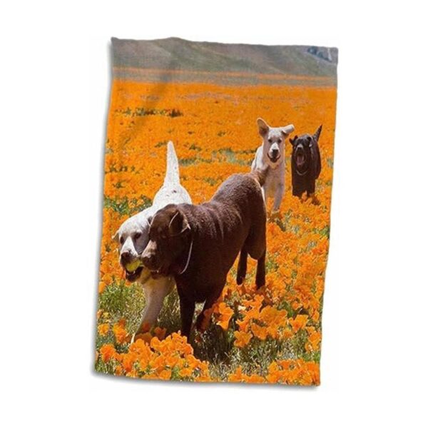 3D Rose Four Labrador Retriever DogsCaliforniaUs05_3