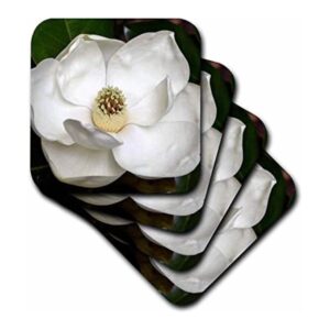 3dRose CST536303 A Garden Magnolia Posavasos de_1