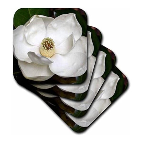 3dRose CST536303 A Garden Magnolia Posavasos de_1