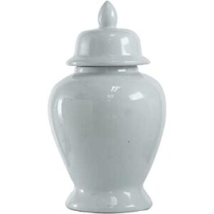 AB Home Tarro de jengibre 10 x 17 pulgadas_1
