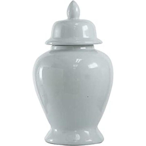 AB Home Tarro de jengibre 10 x 17 pulgadas_1