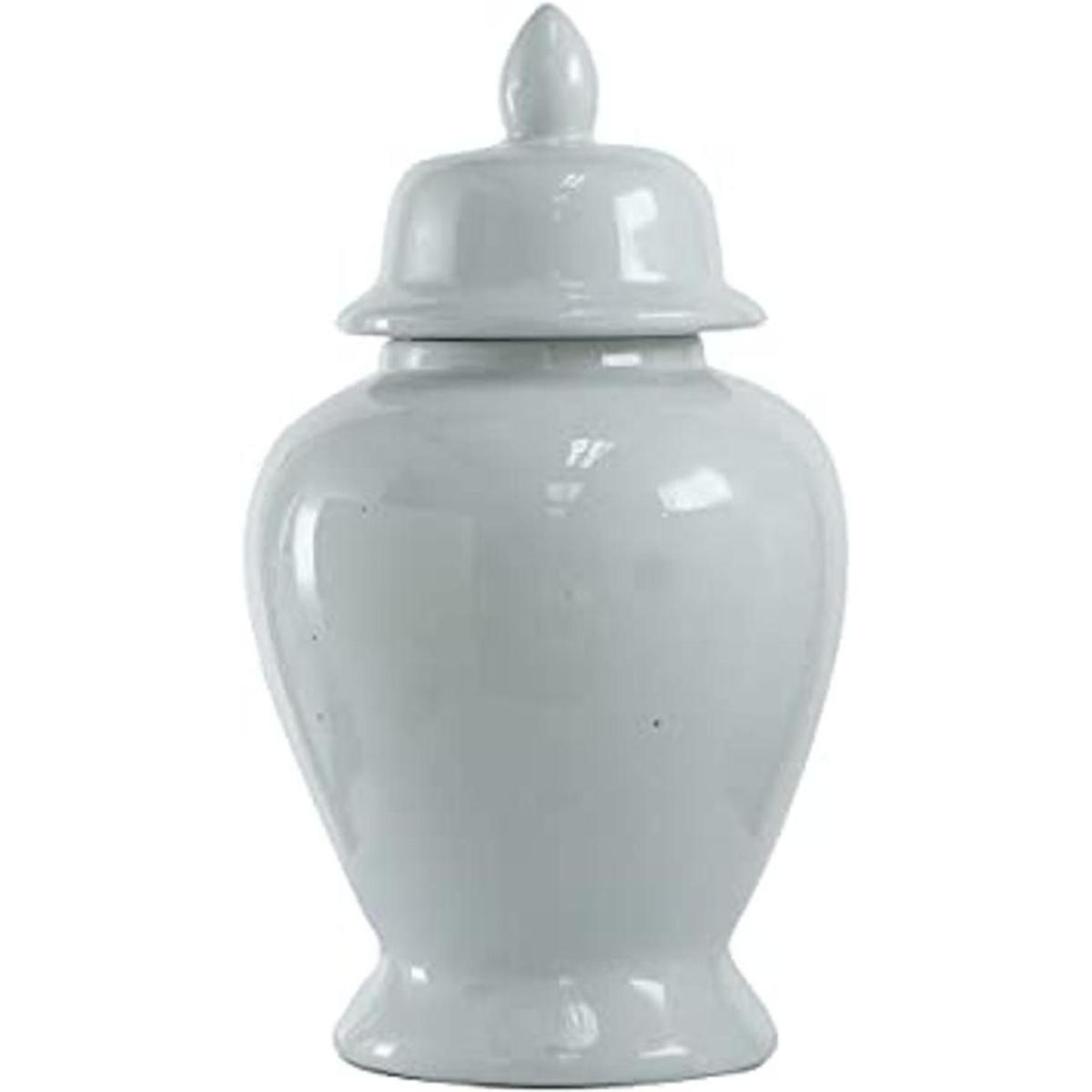 AB Home Tarro de jengibre 10 x 17 pulgadas
