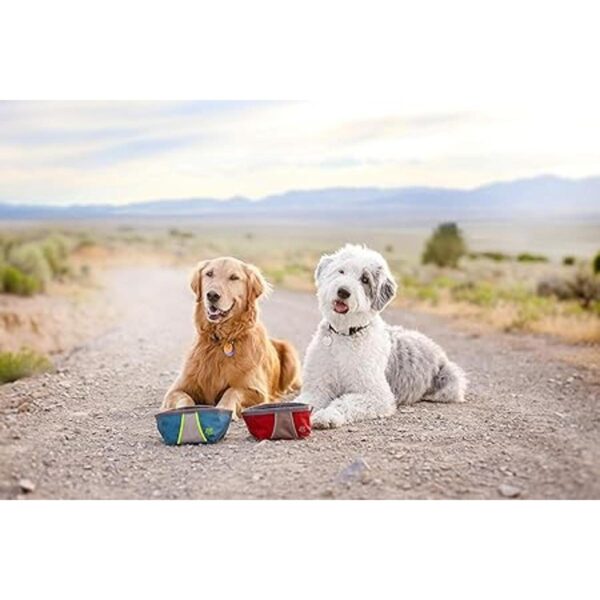 ZippyPaws Cuenco portátil de aventura al aire libre para