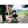 ZippyPaws Cuenco portátil de aventura al aire libre para