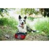 ZippyPaws Cuenco portátil de aventura al aire libre para
