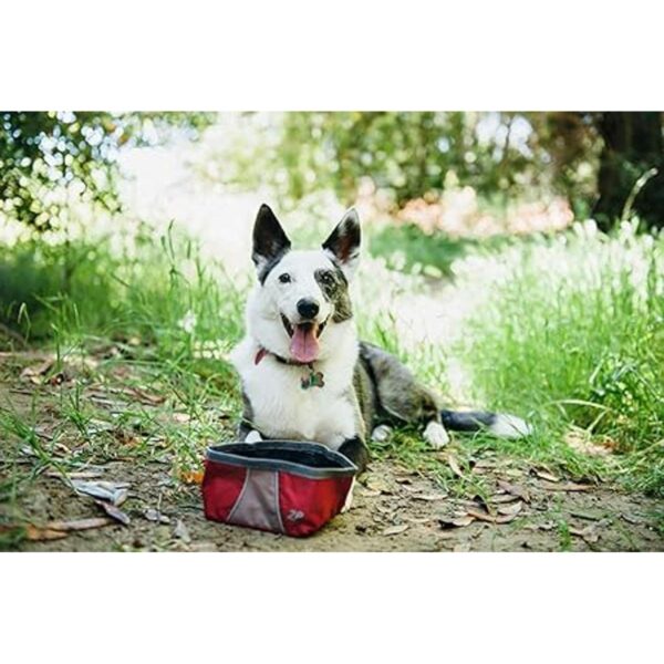 ZippyPaws Cuenco portátil de aventura al aire libre para