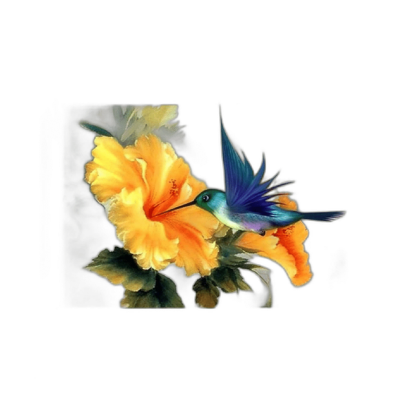 ACANDYL Pintura por número colibrí kit de pintura al_1