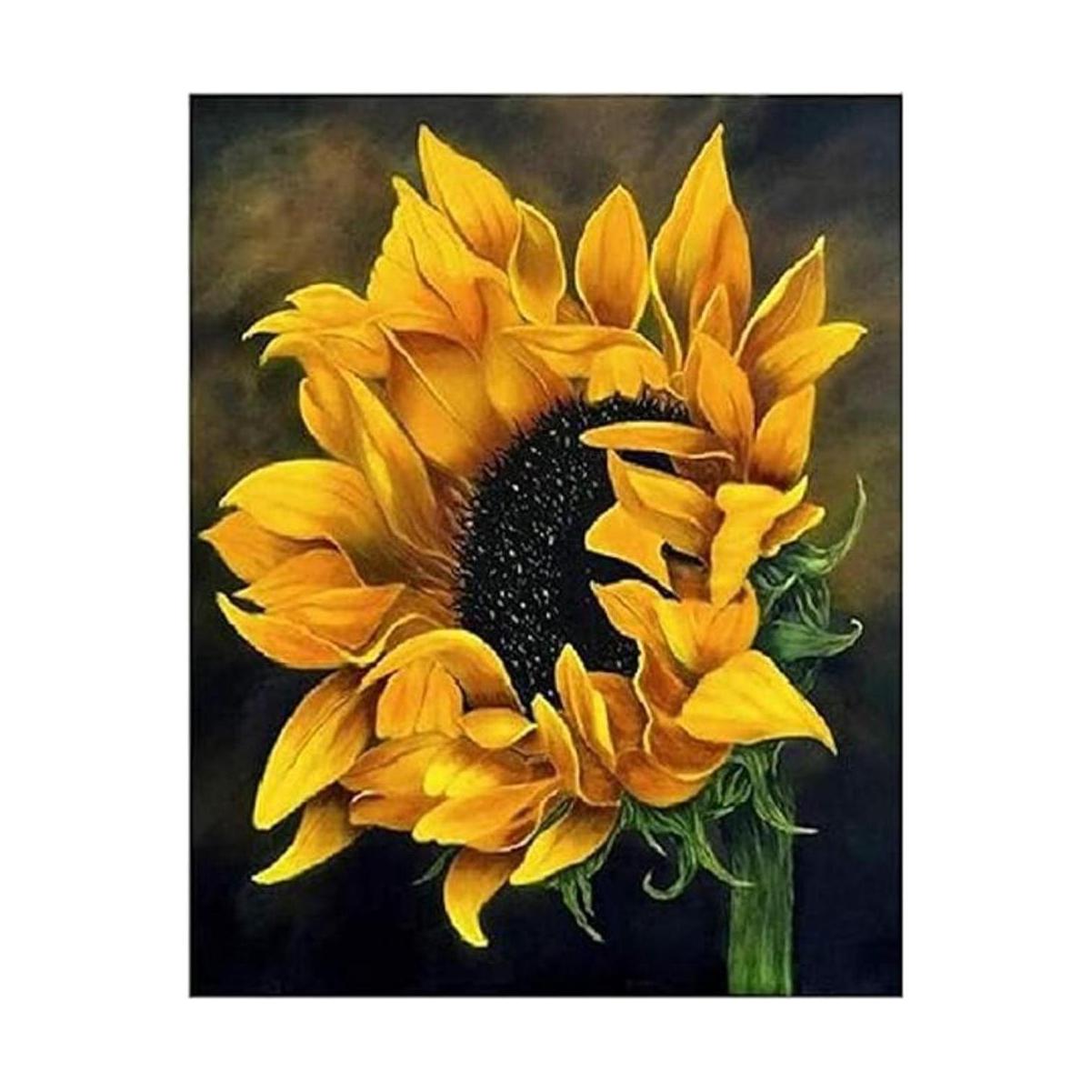 ACANDYL pintura por número girasol DIY pintura por número