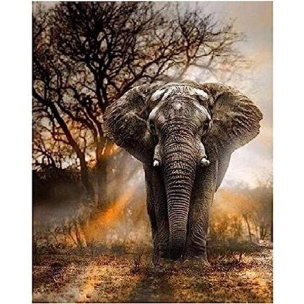 ACANDYL Pintura por número de elefante para manualidades_1