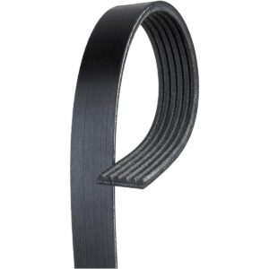 ACDelco Professional 6K905 Cinturón de serpentina_1