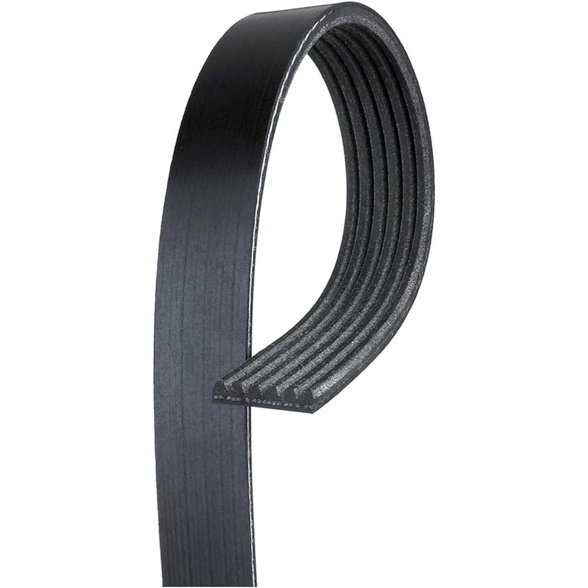 ACDelco Professional 6K905 Cinturón de serpentina