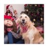 ADOGGYGO Collar de perro de Navidad con corbatín collares