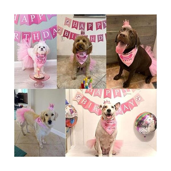 ADOGGYGO Dog Birthday Bandana Girl Birthday Party_2