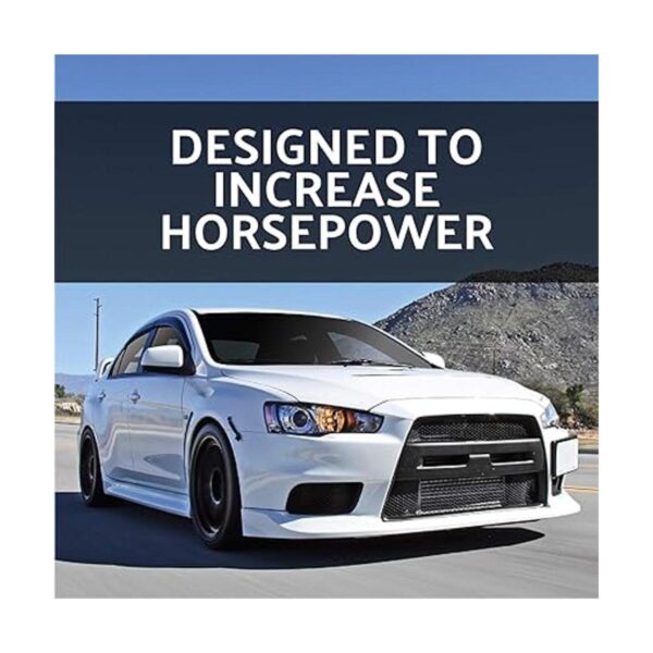 AEM AEM21201DXK Universal Race Dryflow Filtro de aire