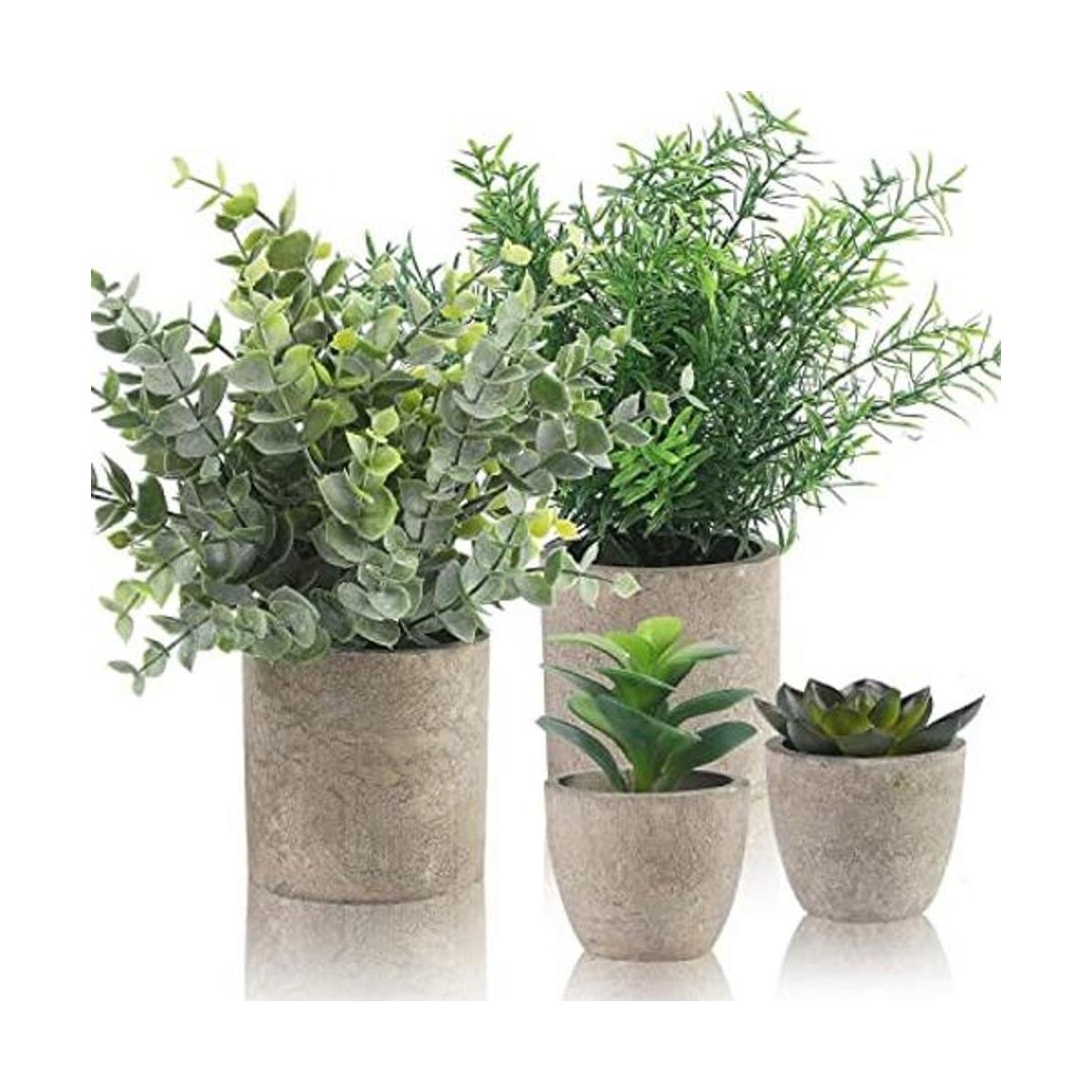 Juego de 4 plantas falsas pequeñas Plantas suculentas de