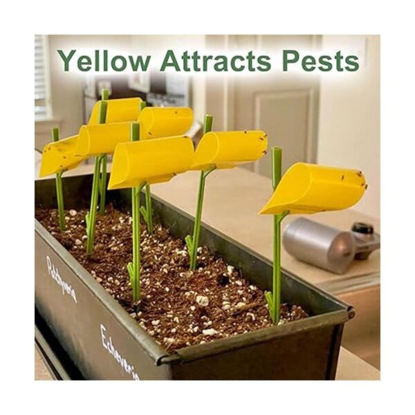 ALLRoad 84 trampas adhesivas amarillas para plantas de