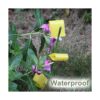 ALLRoad 84 trampas adhesivas amarillas para plantas de