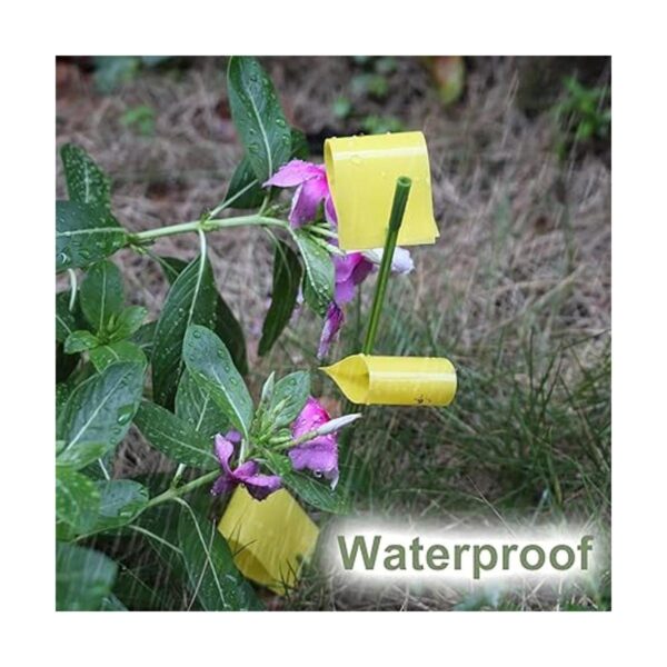 ALLRoad 84 trampas adhesivas amarillas para plantas de