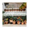 ALLRoad 84 trampas adhesivas amarillas para plantas de