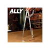 ALLY Tools Divisor de precisión de 12.0 in incluye dos_2
