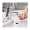 AM Conservation Group Inc. FA012CPB1WS2 Simply Conserve_2