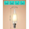 AMDTU Bombilla LED E12 bombillas de candelabro_3