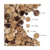 AMORNPHAN 150 botones de madera natural de cáscara de coco