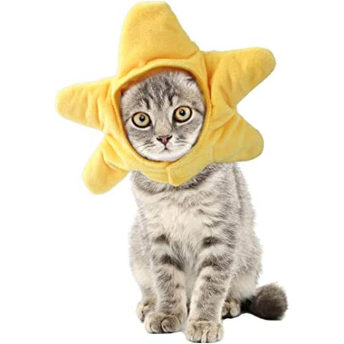 ANIAC Sombrero divertido de gato amarillo de estrellas de